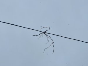 IMG_20221120_113231.jpg