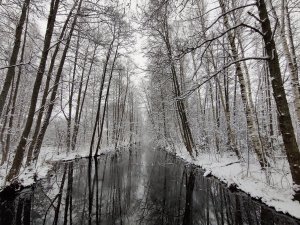 IMG_20221120_113903.jpg