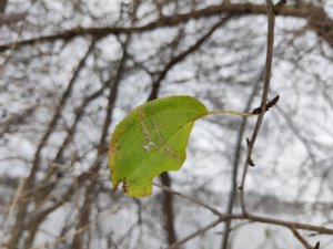 IMG_20221120_104814.jpg