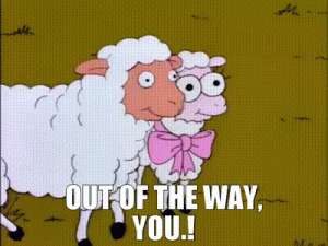 96f744f8-a0e8-42b6-b329-8b8adb016edf_text.gif