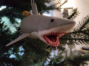 IMG_20211205_113343060.jpg