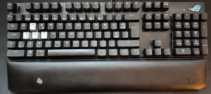 318180192_476834694439231_1553757524303124856_n.jpg