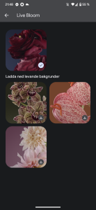 Screenshot_20221207-214800.png
