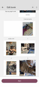 Screenshot_20221209-124159.png