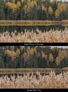 d5a570d1adacea1c7c3d73eef0207d6e.jpg