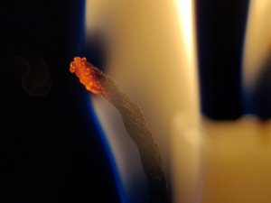 IMG_20221218_154041.jpg