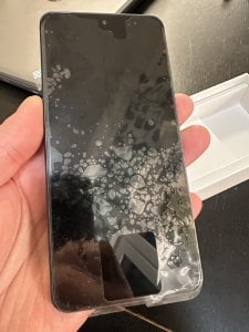 48F29558-2805-4E7F-A6D1-A2C69F85880C.jpeg
