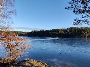 IMG_20230101_111658.jpg