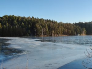IMG_20230101_111816.jpg