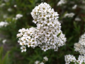 IMG_20160516_184044.jpg