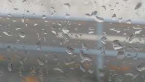 IMG_20160526_065656743.jpg