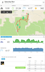 Runkeeper2.PNG