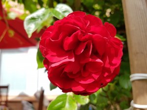 20160605_143351.jpg