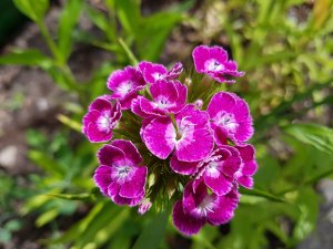 20160605_143405.jpg