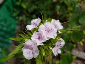 20160605_143513(0).jpg