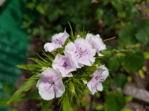 20160605_143514.jpg
