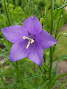 20160605_143636.jpg