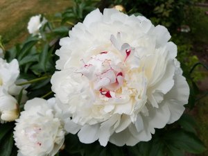 20160605_143659.jpg