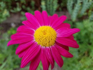 20160605_143740.jpg