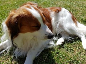 20160607_103748.jpg