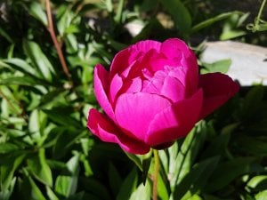 20160607_103427.jpg