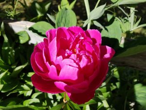 20160607_103420.jpg