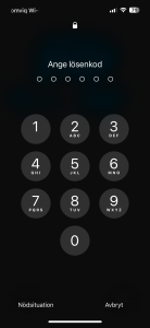 CA8783DE-02D0-4DC6-8129-6673434CBE56.png