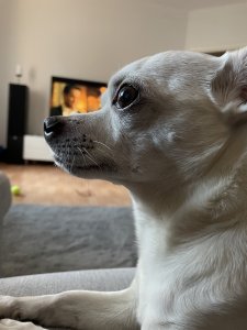 E1F53747-647E-403E-B6C0-91BA3084E6B4.jpeg