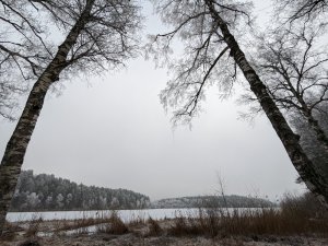 PXL_20230122_104138907.jpg