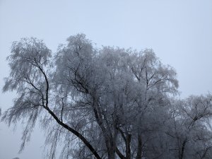 PXL_20230122_101414373.jpg