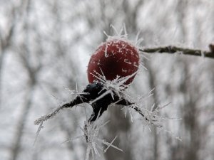 PXL_20230122_101114389.jpg
