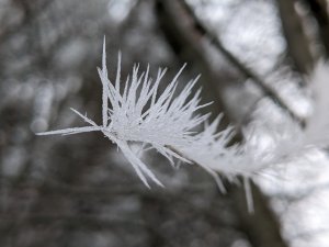 PXL_20230122_100547962.jpg