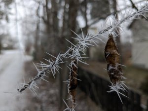 PXL_20230122_100525170.jpg