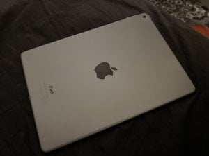 323706C7-3F18-4C89-924C-E6192CE879DF.jpeg