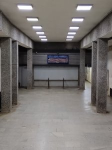 DSC_0540.JPG