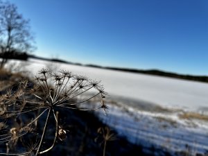 D7723388-CC02-4A5F-B29F-440B9E473B39.jpeg