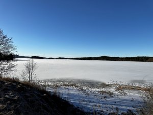D4B9E770-C110-4112-9EF6-75B775BB0363.jpeg