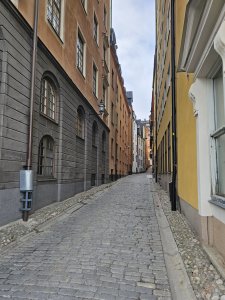 20230305_131449.jpg