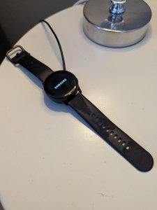 PXL_20230308_061739611.jpg
