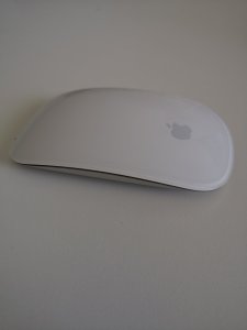 IMG_20230309_133104.jpg