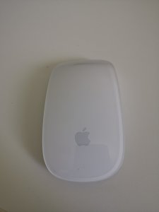 IMG_20230309_133111.jpg