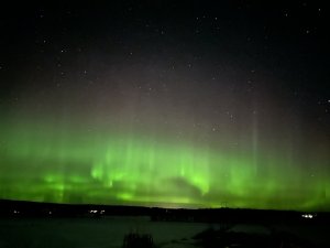 1F476B55-1FCF-47DB-93F4-BBEF4928D015.jpeg