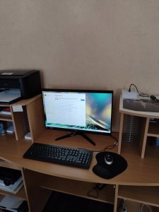 Acer.jpg