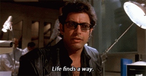 giphy (10).gif