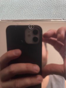 337705204_140569602061312_5786200057384745395_n.jpg