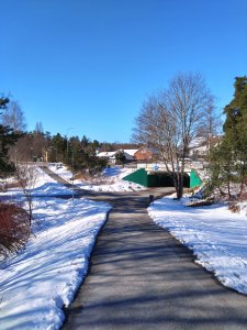 DSC_0569.JPG