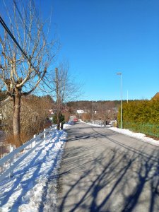 DSC_0570.JPG