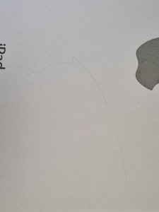 20230403_121013.jpg