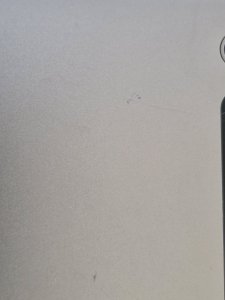20230403_121020.jpg