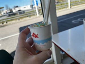 IMG_3341.jpeg